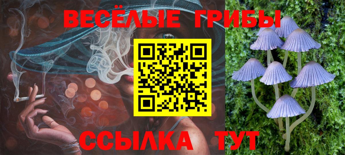 Галлюциногенные грибы мицелий Шуя